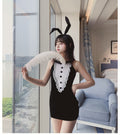 Costume Edit Bunny Costume Lingerie Set - Alternate View