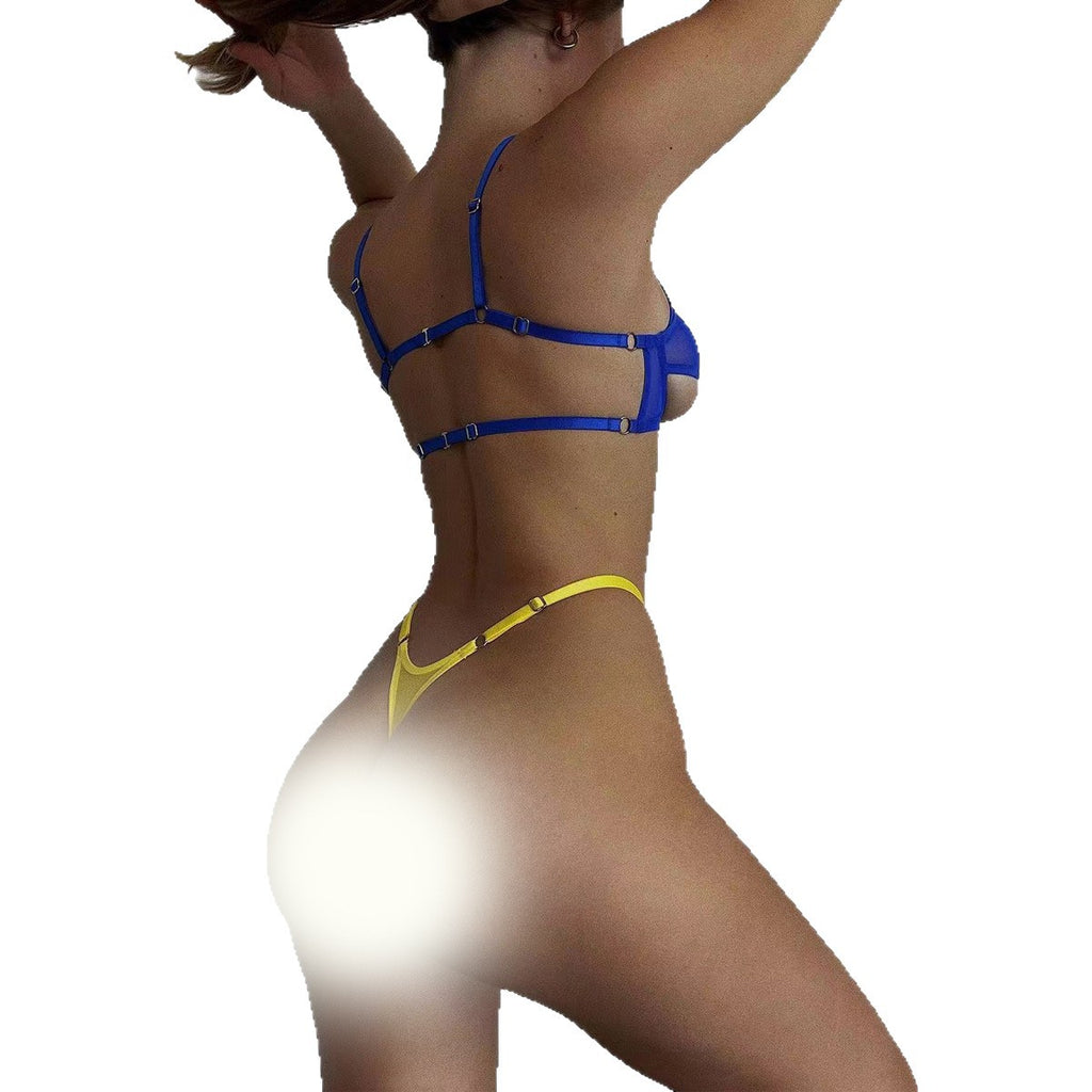 Blue Sheer Mesh Two-Piece Lingerie Set - Alternate View